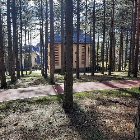 Zlatibor M Apartment ภายนอก รูปภาพ